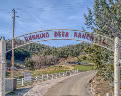 Running Deer Road, Paso Robles