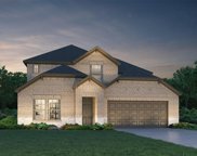 9865 Pearly Everlasting, Conroe image
