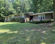 5924 Riverview Drive, Irondale image