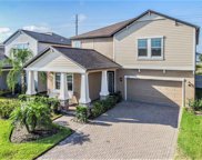 11409 Chilly Water Court, Riverview image