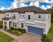 1463 Juniper Hammock Street, Winter Garden image