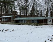 8810 Reddy Hollow  Road, Dansville-464000 image