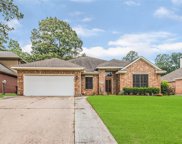 18402 Bluewater Cove Drive, Humble image