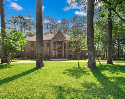 22114 Holly Lakes Drive, Tomball