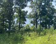 19.33 Acres in and connected to Jonathan Shores S/D, Benton image
