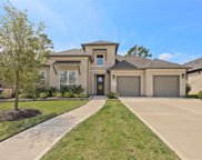 12006 Parsifal Creek Road, Humble image