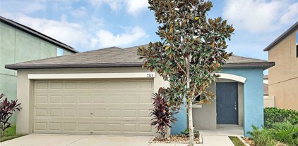 7313 Ozello Trail Avenue, Sun City Center