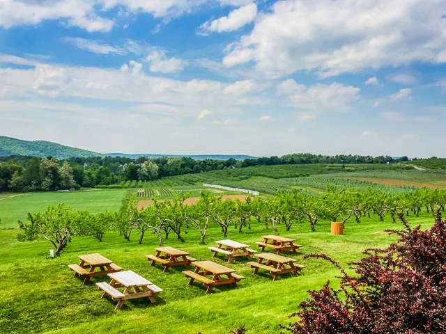 The Fishkill Farms Apple Orchard