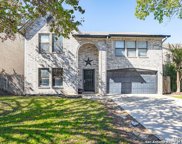 13735 Fairway Hedge, San Antonio image