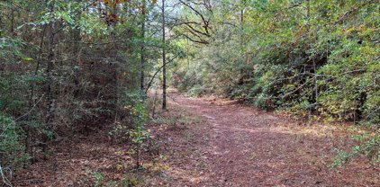 1175 County Road 1550, Warren