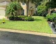 Estero image