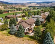 305 Red Fox, Gypsum image