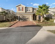 17417 Painted Leaf Way, Clermont image