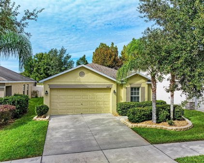 10517 Summer Azure Drive, Riverview