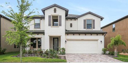 14627 Red Castle Avenue, Lithia