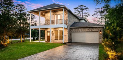 25203 Elijah Court, Tomball