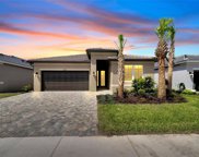 4826 Avila Lakes Drive, Wimauma image