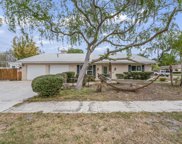 13302 Moran Drive, Tampa image