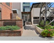 2960 Inca Street Unit 209, Denver image