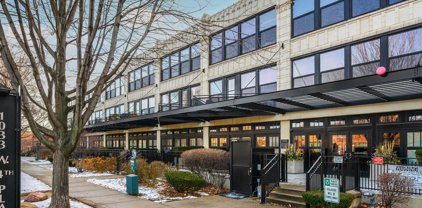 1033 W 14Th Place Unit #222, Chicago