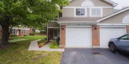 834 W Happfield Drive, Arlington Heights