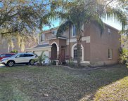 18218 Sandy Pointe Drive, Tampa image