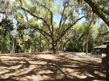 Gemini Springs