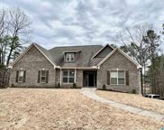 20719 Waters View, Mccalla image