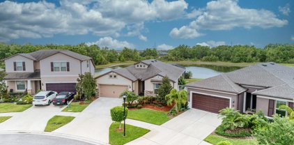 11605 Kilkenny Coral Drive, Riverview