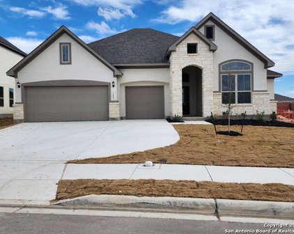 209 Canton Chase, Cibolo