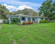 1415 Raintree Lane, Mount Dora image