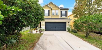 11309 Lady Fern Place, Riverview
