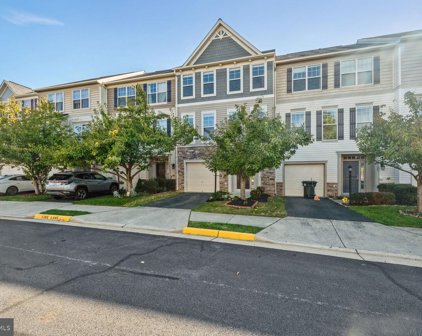 42609 Chisholm   Drive, Broadlands