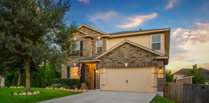 14002 Amalfi Park, Live Oak