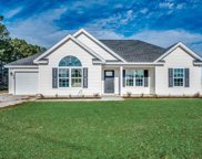 390 William Nobles Rd., Aynor image