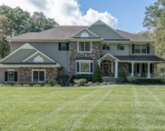 7 FOREST RIDGE DR, Independence Twp. image