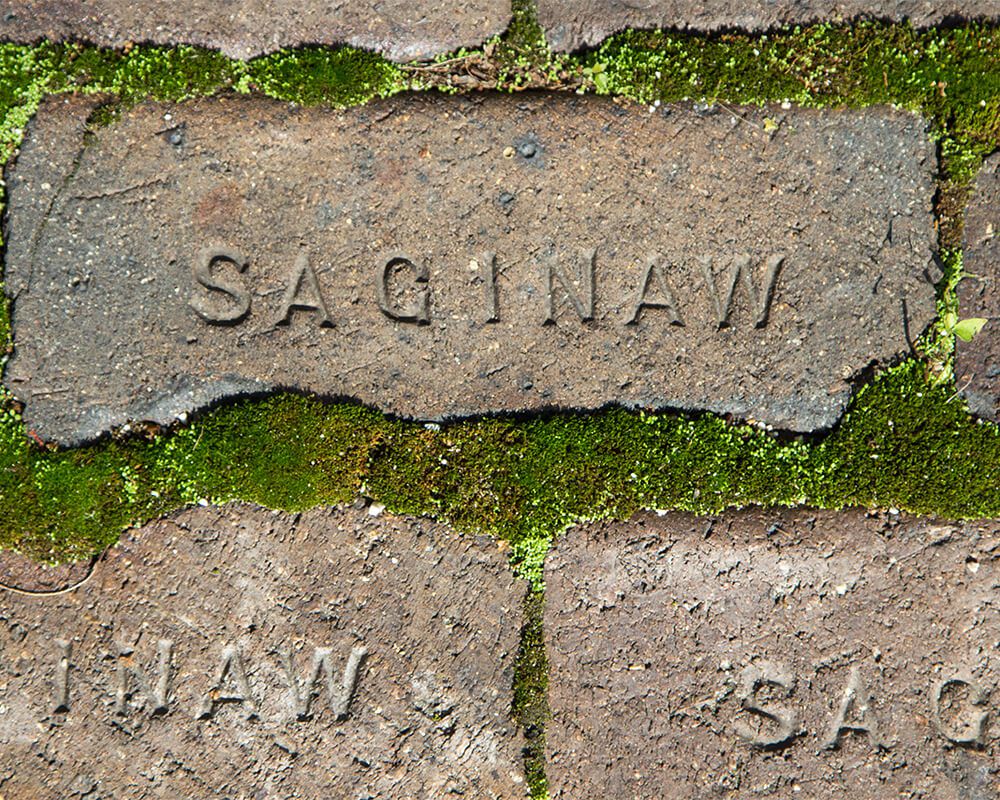Saginaw County Real Estate