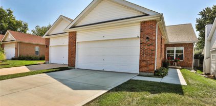 314 Holloway Ridge  Court, Ballwin