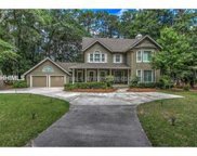 Hilton Head Island image