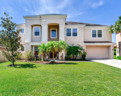 11136 Wembley Landing Drive, Lithia