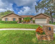 1431 Clarion Drive, Valrico image