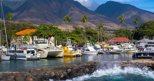 A harbor full of boats in Lahaina