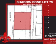 4610 Shadow Pond Ln, Alvin image