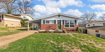 10951 Ridge Forest  Drive, St Louis