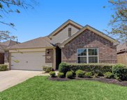 3818 Palmer Meadow Court, Katy image