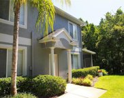 18141 Paradise Point Drive, Tampa image