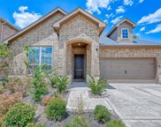 10005 Red Beadtree Place, Conroe image