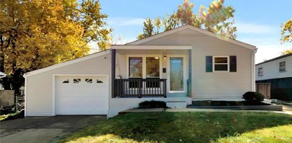264 Rayburn  Avenue, St Louis