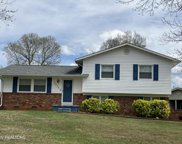 3236 NW Lineback Rd, Knoxville image