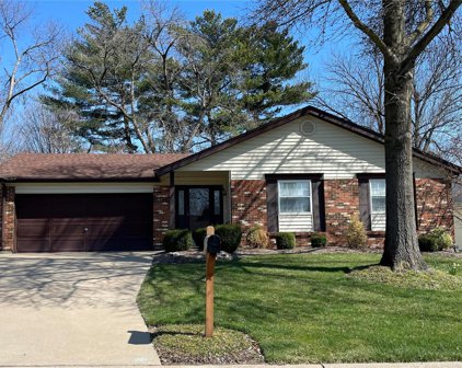 2420 Country Place  Drive, Maryland Heights